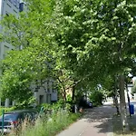 Denis * Chemnitz
