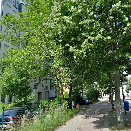 Denis * Chemnitz