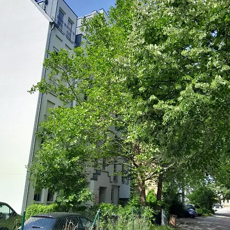 Denis ケムニッツ