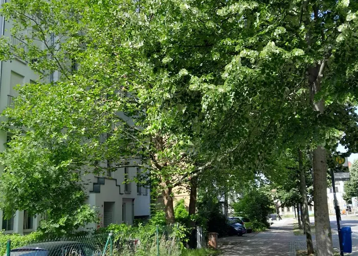 Denis * Chemnitz (Saská Kamenice)